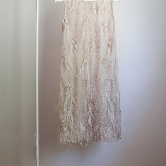 Beige Mesh Dress with Feathers and Gems - Picture 2 of 4
